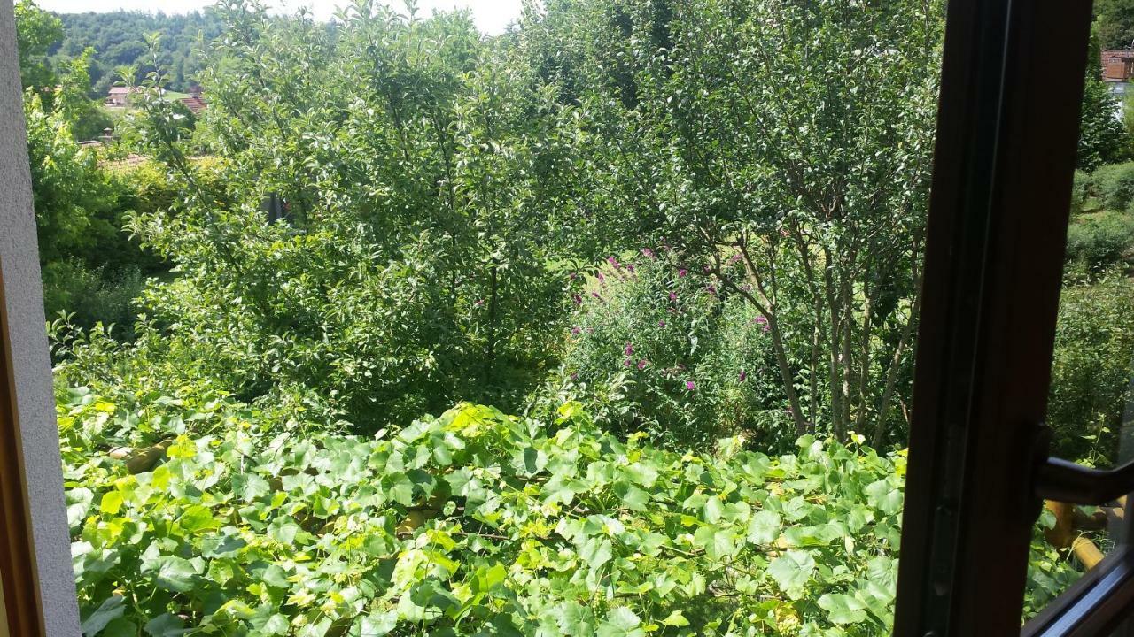 Gastezimmer Nahe Wesslinger See Buitenkant foto